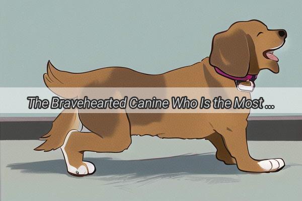 The Bravehearted Canine Who Is the Most Fearless and Tragic Dog of All Time